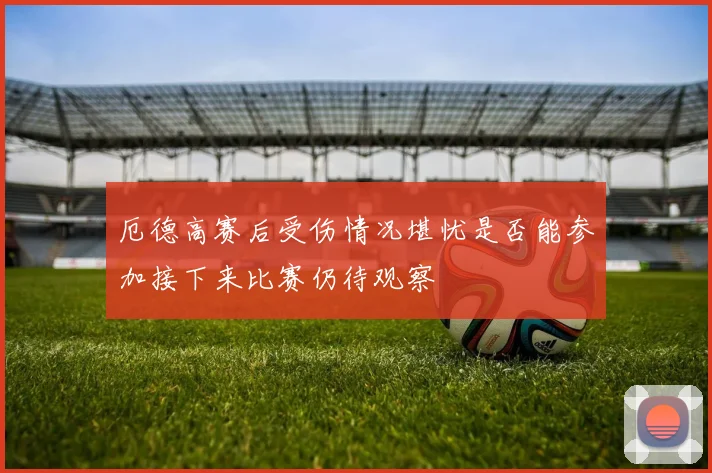 厄德高赛后受伤情况堪忧是否能参加接下来比赛仍待观察
